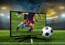 林泓育捕手核心价值